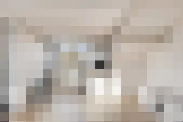 Melkwit 7 Zoetermeer thumbnail 22