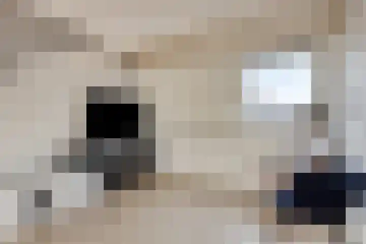 Melkwit 7 Zoetermeer thumbnail 23