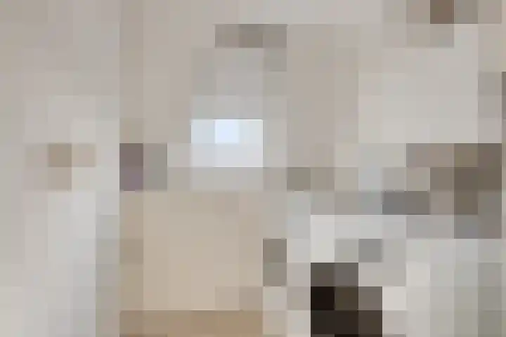 Melkwit 7 Zoetermeer thumbnail 24
