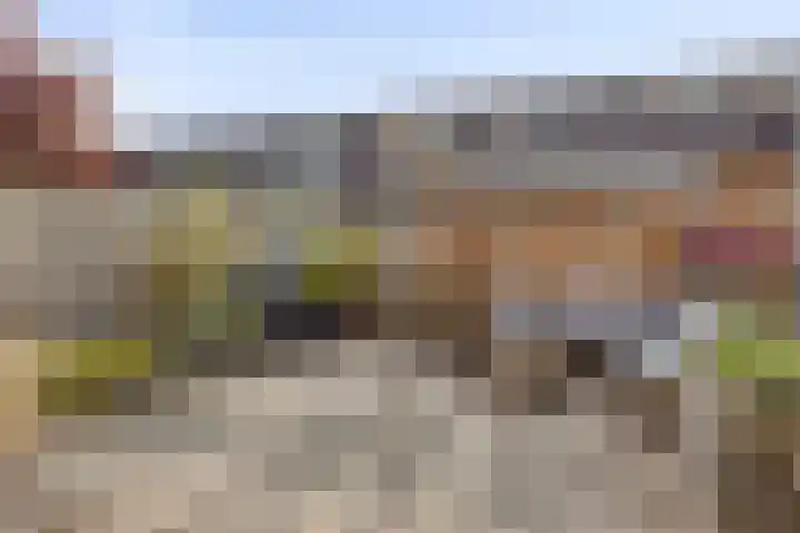 Melkwit 7 Zoetermeer thumbnail 4