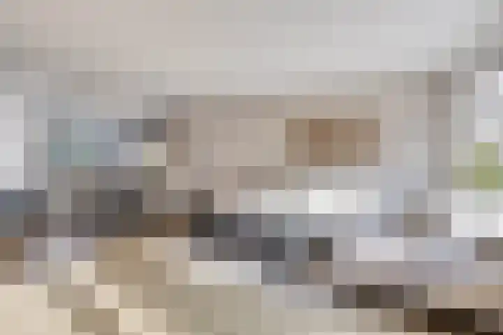 Melkwit 7 Zoetermeer thumbnail 7