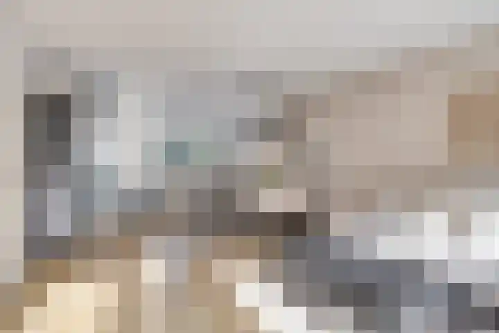 Melkwit 7 Zoetermeer thumbnail 8