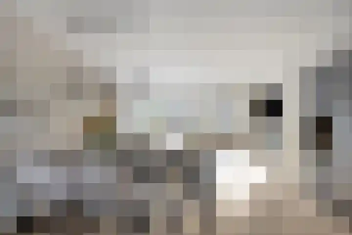 Melkwit 7 Zoetermeer thumbnail 9