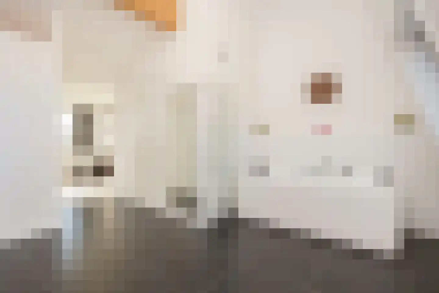Melkzwamsingel 10 Vleuten thumbnail 50