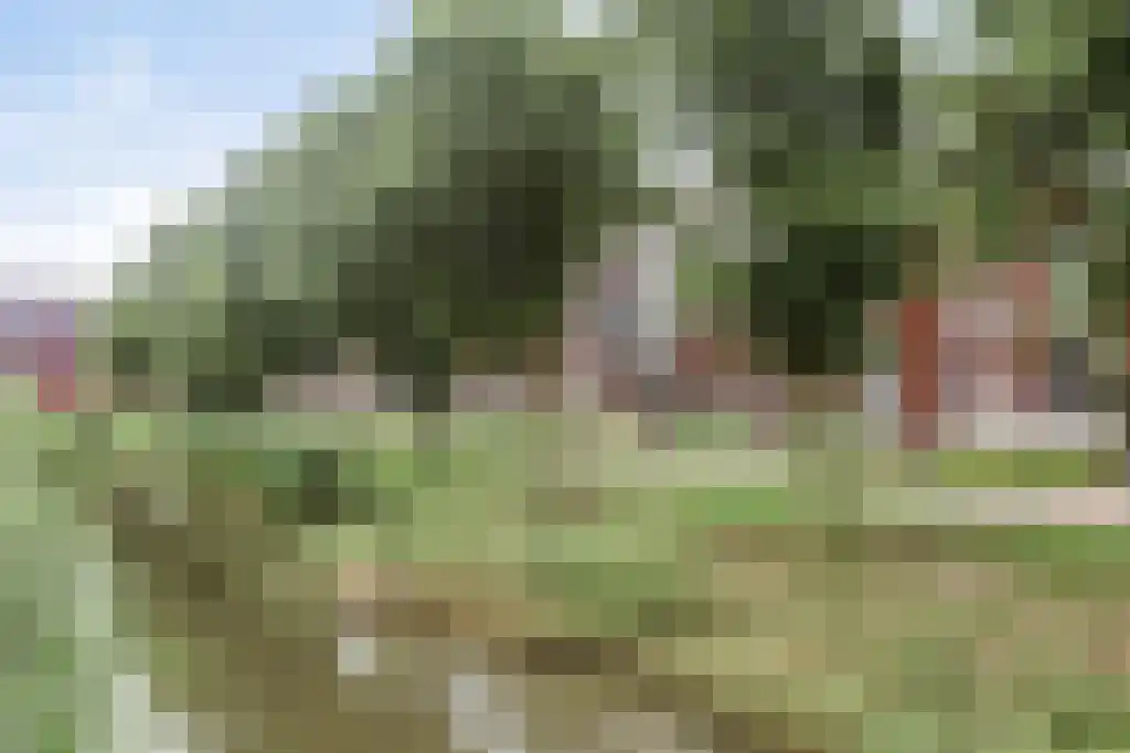 Melkzwamsingel 10 Vleuten thumbnail 54