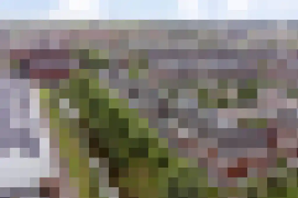 Melkzwamsingel 10 Vleuten thumbnail 56