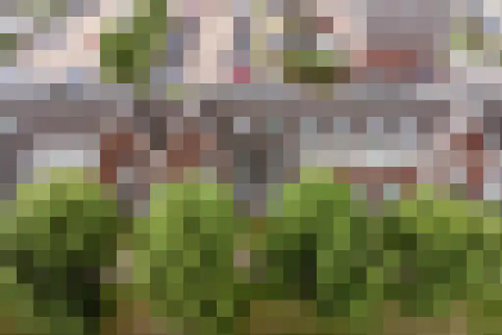 Melkzwamsingel 10 Vleuten thumbnail 57