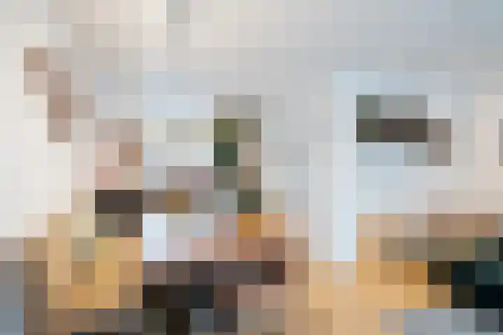 Melkzwamsingel 6 Vleuten thumbnail 12