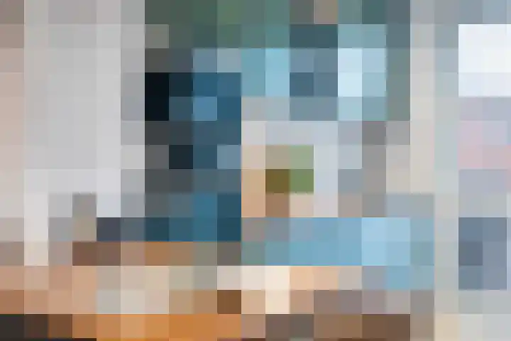 Melkzwamsingel 6 Vleuten thumbnail 15