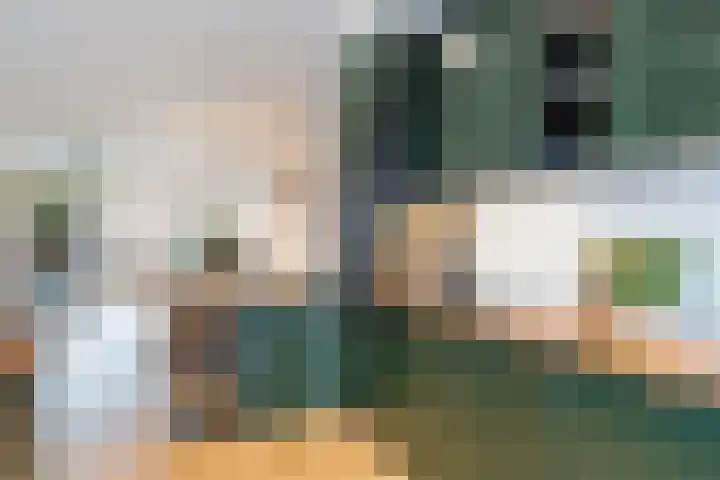Melkzwamsingel 6 Vleuten thumbnail 17