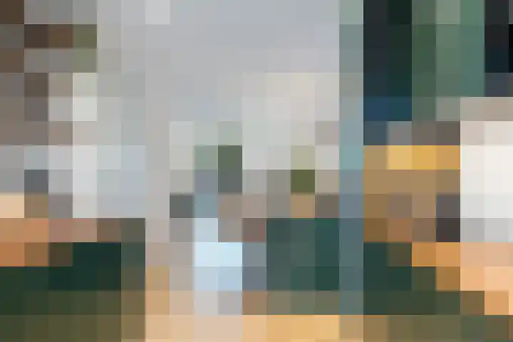 Melkzwamsingel 6 Vleuten thumbnail 18