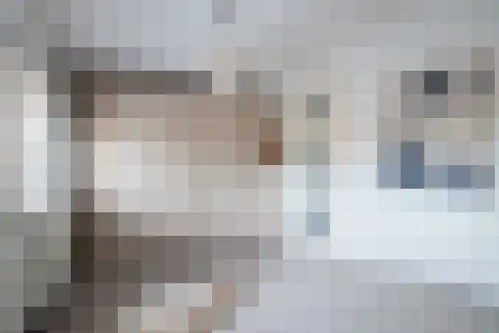 Melkzwamsingel 6 Vleuten thumbnail 23