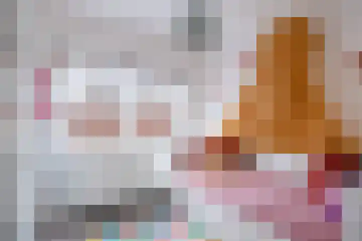 Melkzwamsingel 6 Vleuten thumbnail 24