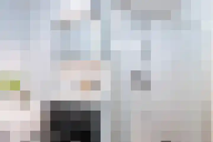 Melkzwamsingel 6 Vleuten thumbnail 29