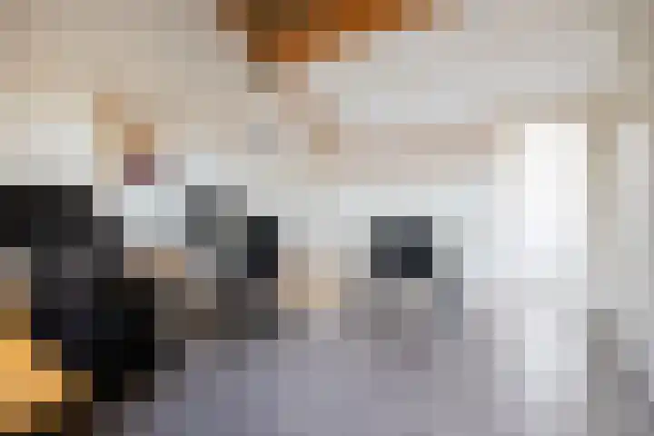 Melkzwamsingel 6 Vleuten thumbnail 30