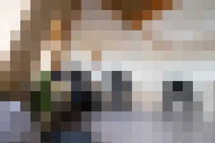 Melkzwamsingel 6 Vleuten thumbnail 31