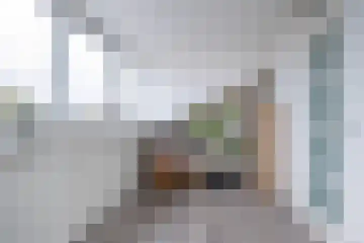 Melkzwamsingel 6 Vleuten thumbnail 34
