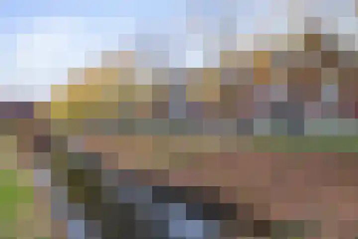 Melkzwamsingel 6 Vleuten thumbnail 39