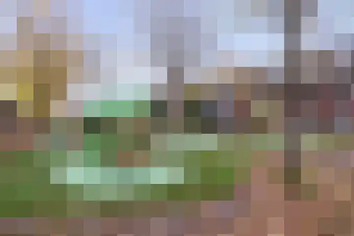 Melkzwamsingel 6 Vleuten thumbnail 40