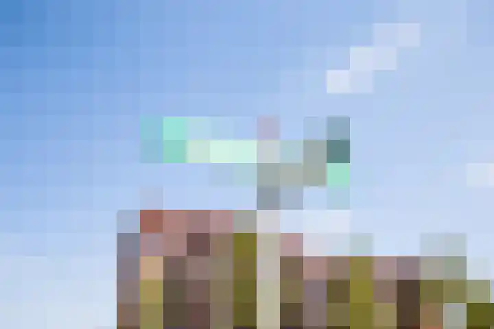 Melkzwamsingel 6 Vleuten thumbnail 42