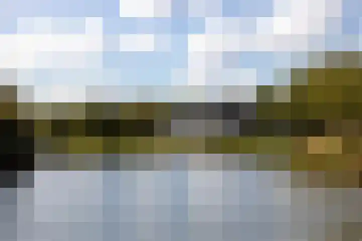 Melkzwamsingel 6 Vleuten thumbnail 44