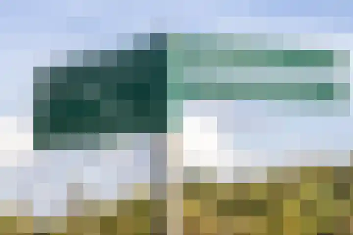 Melkzwamsingel 6 Vleuten thumbnail 47