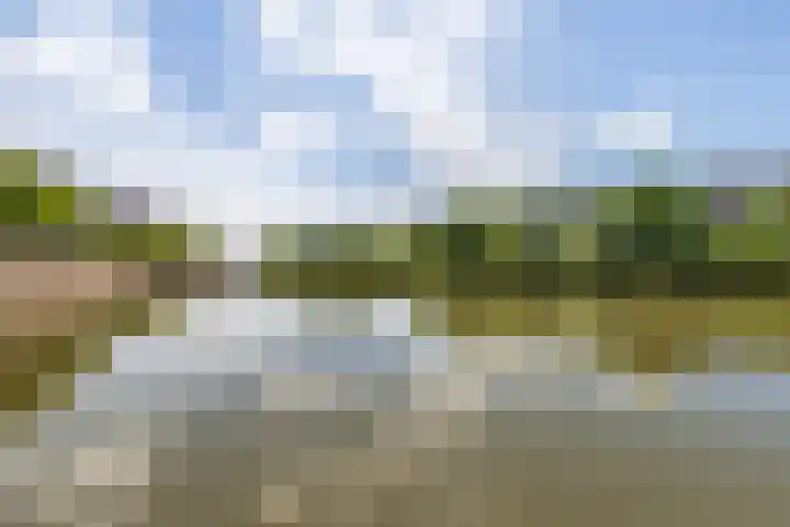 Melkzwamsingel 6 Vleuten thumbnail 48