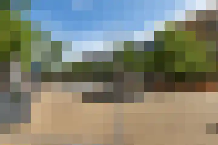 Melkzwamsingel 6 Vleuten thumbnail 49
