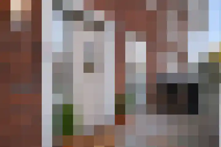 Melkzwamsingel 6 Vleuten thumbnail 5
