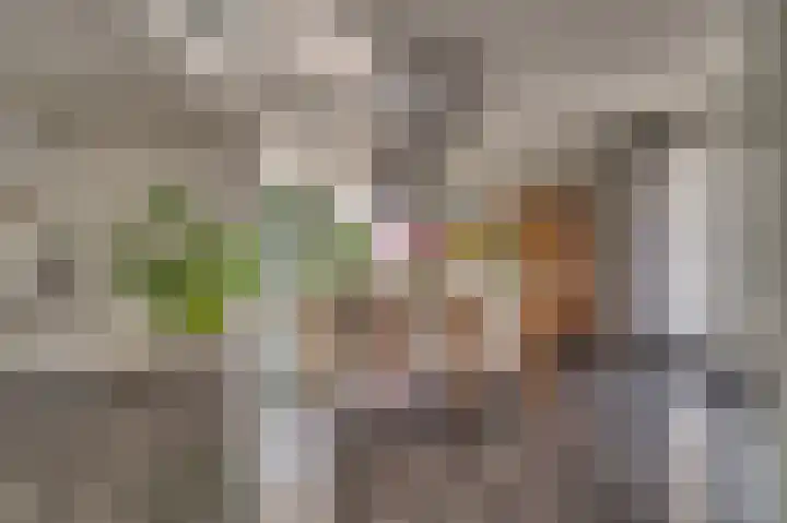 Mellenakkerweg 3 Weert thumbnail 4