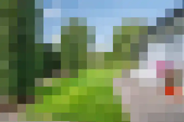 Mellenakkerweg 3 Weert thumbnail 47