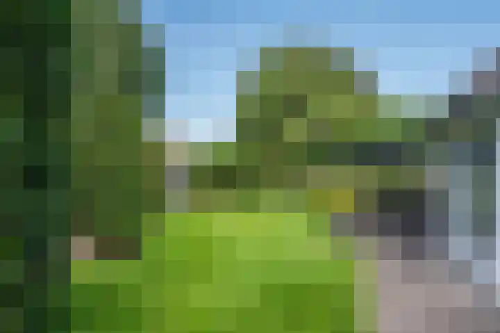 Mellenakkerweg 3 Weert thumbnail 48
