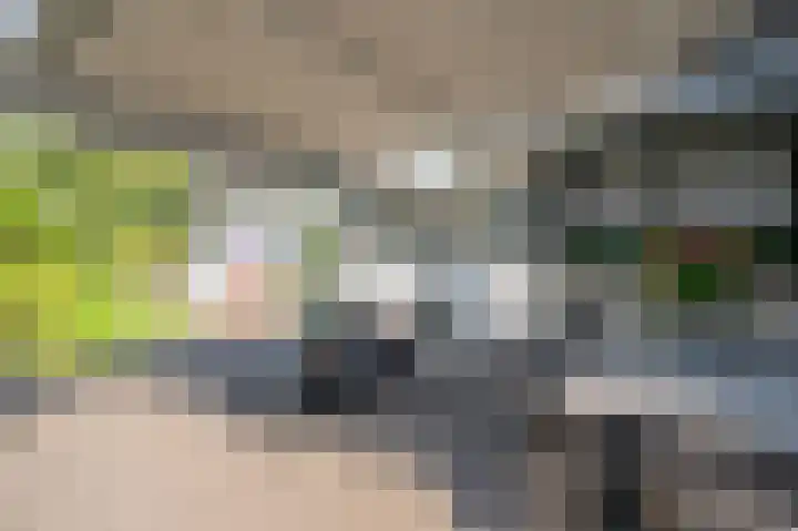 Mellenakkerweg 3 Weert thumbnail 54