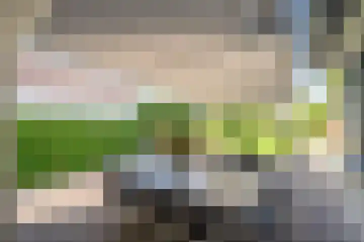Mellenakkerweg 3 Weert thumbnail 56