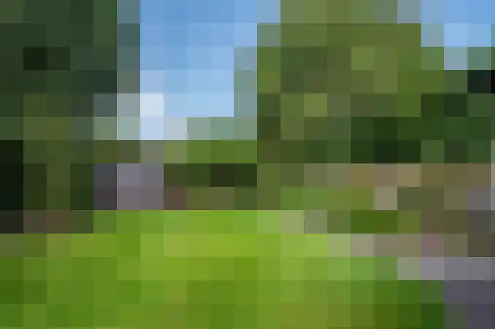 Mellenakkerweg 3 Weert thumbnail 58