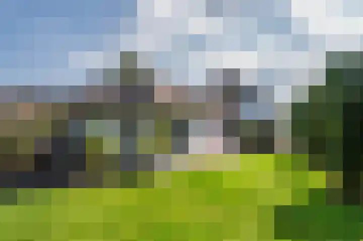 Mellenakkerweg 3 Weert thumbnail 61