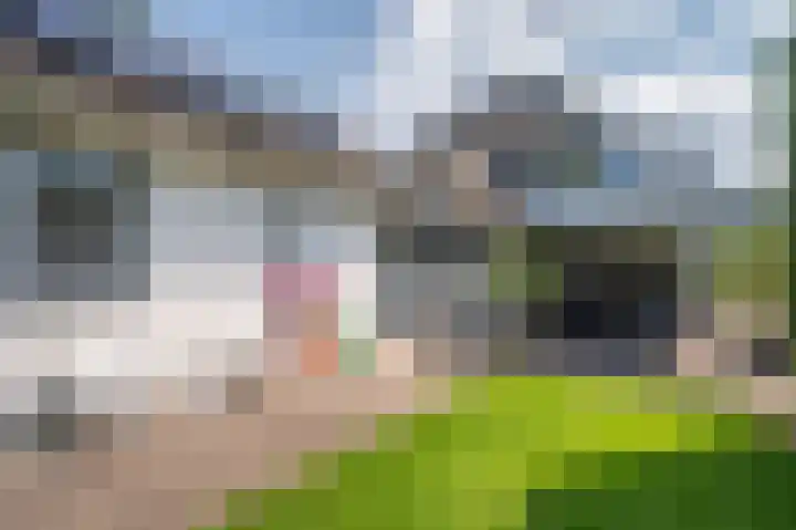 Mellenakkerweg 3 Weert thumbnail 62