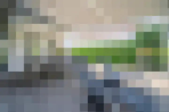 Mellenakkerweg 3 Weert thumbnail 63