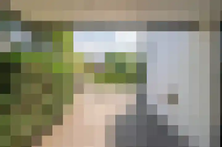 Mellenakkerweg 3 Weert thumbnail 67