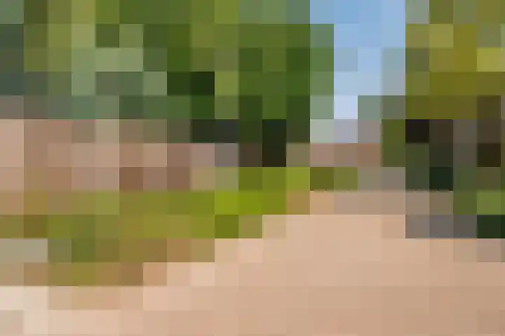 Mellenakkerweg 3 Weert thumbnail 70