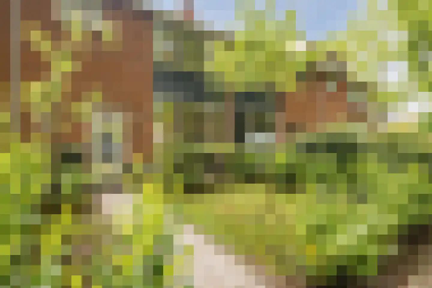 Mellenssteeg 55 Haren Gn thumbnail 4