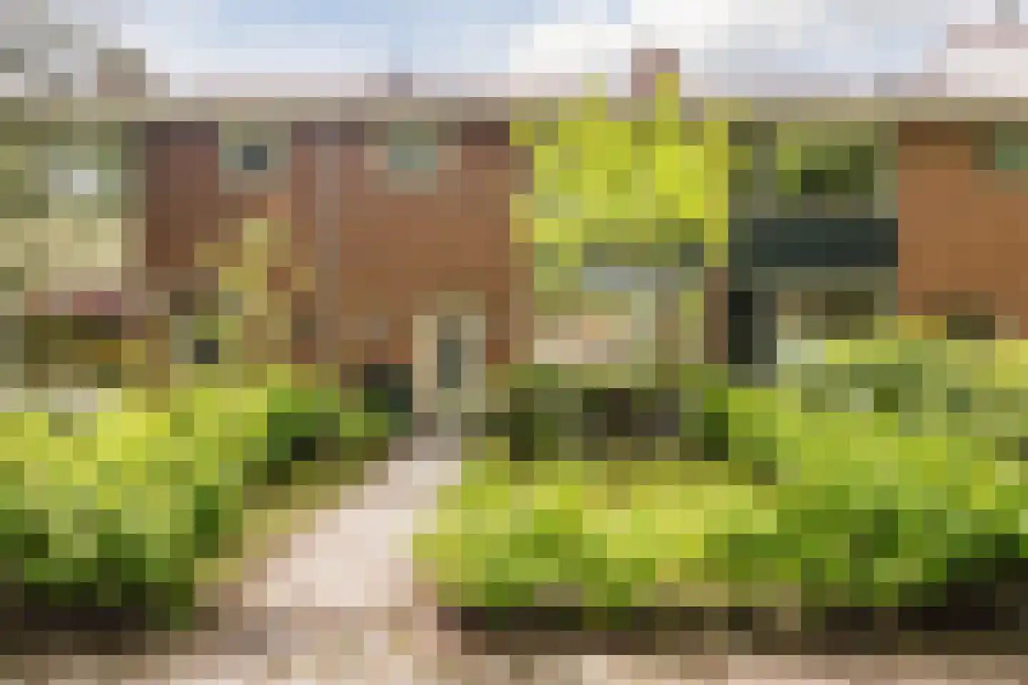 Mellenssteeg 55 Haren Gn thumbnail 5