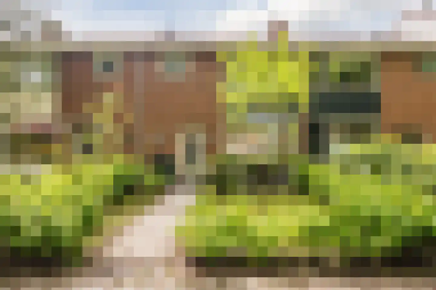 Mellenssteeg 55 Haren Gn thumbnail 5