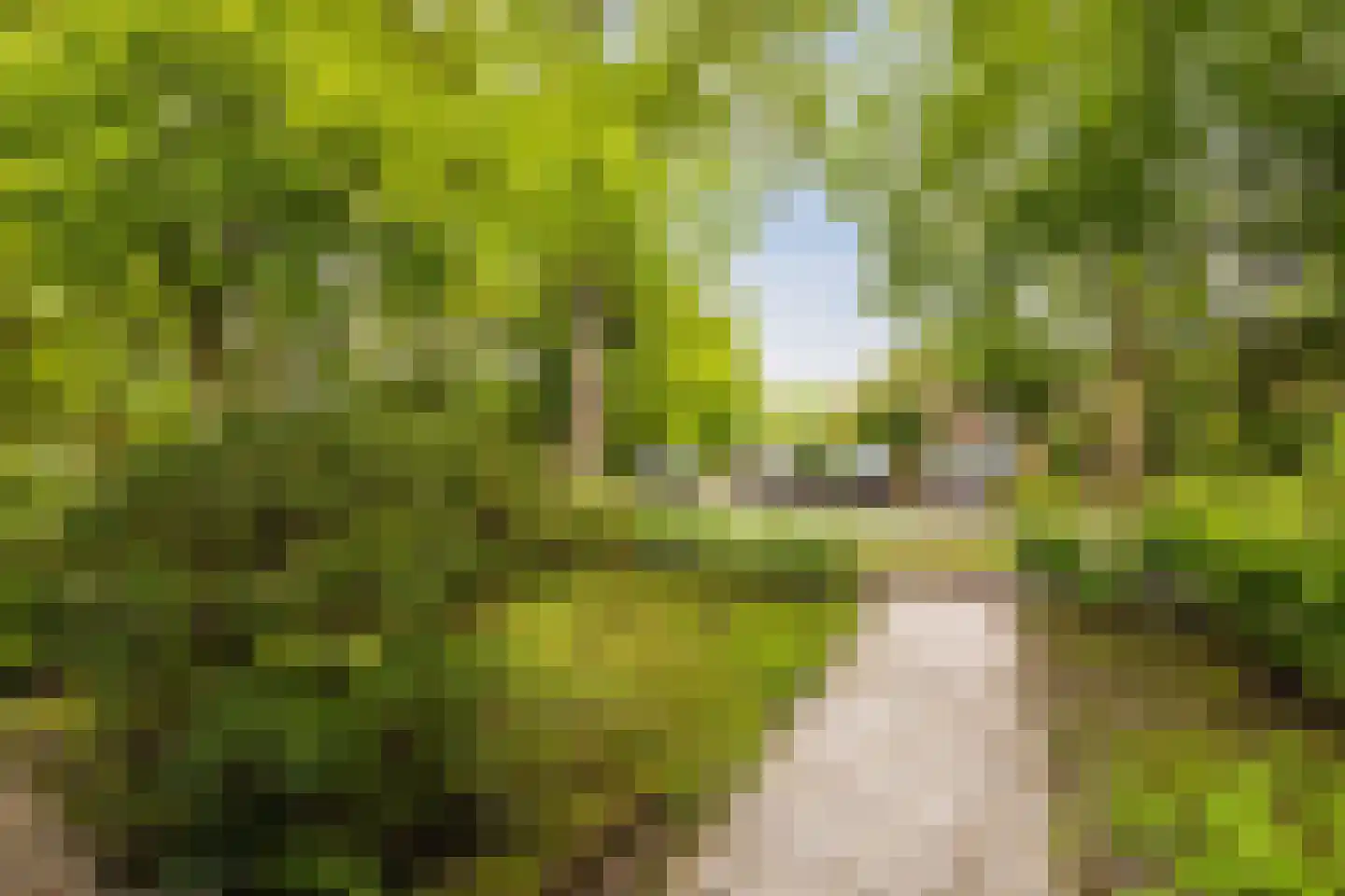 Mellenssteeg 55 Haren Gn thumbnail 6