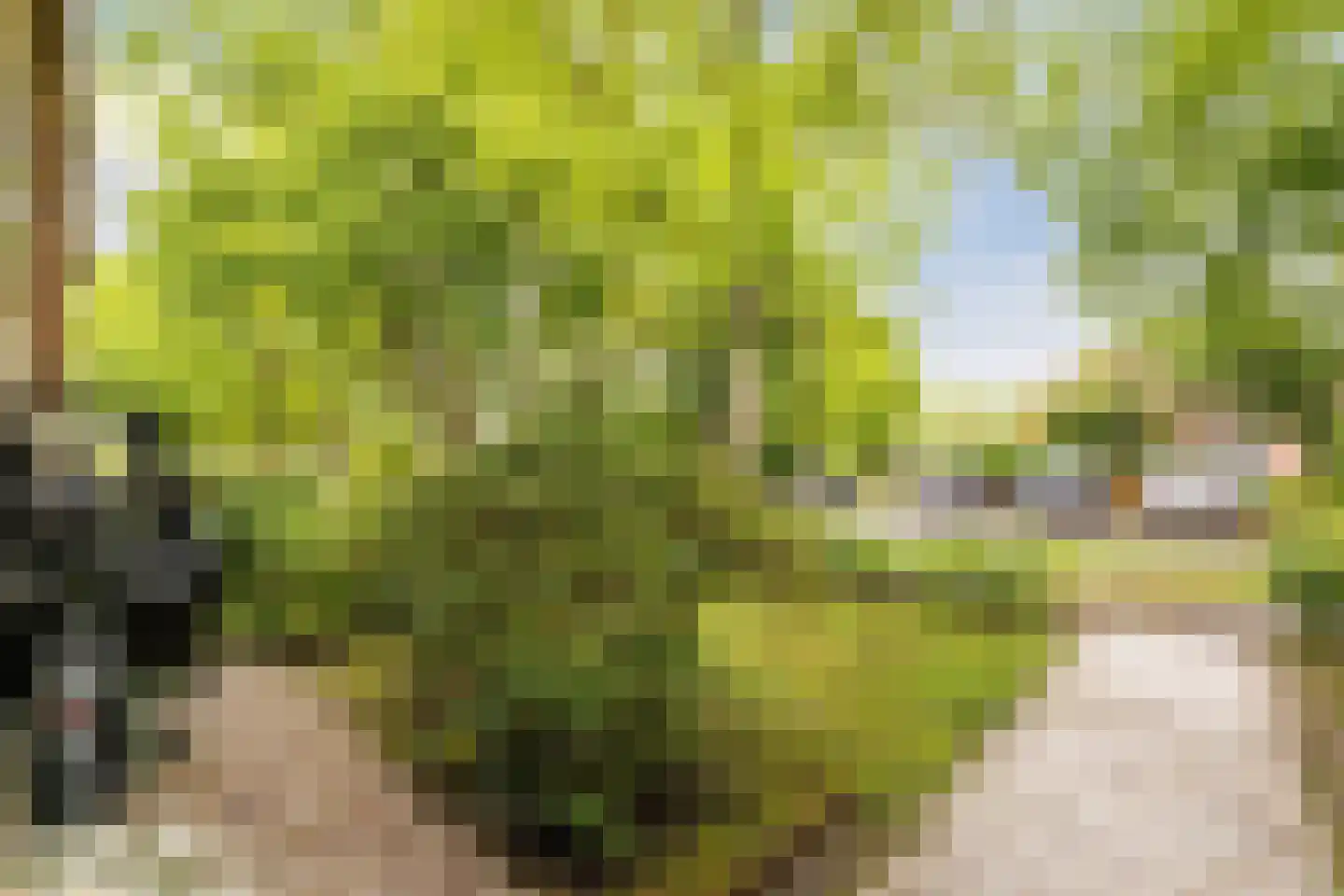 Mellenssteeg 55 Haren Gn thumbnail 7