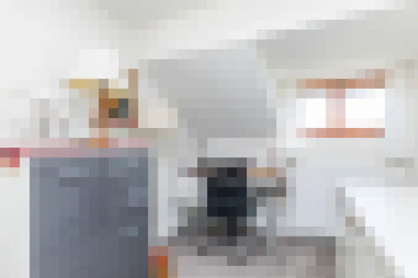 Melleschet 45 Vijlen thumbnail 15