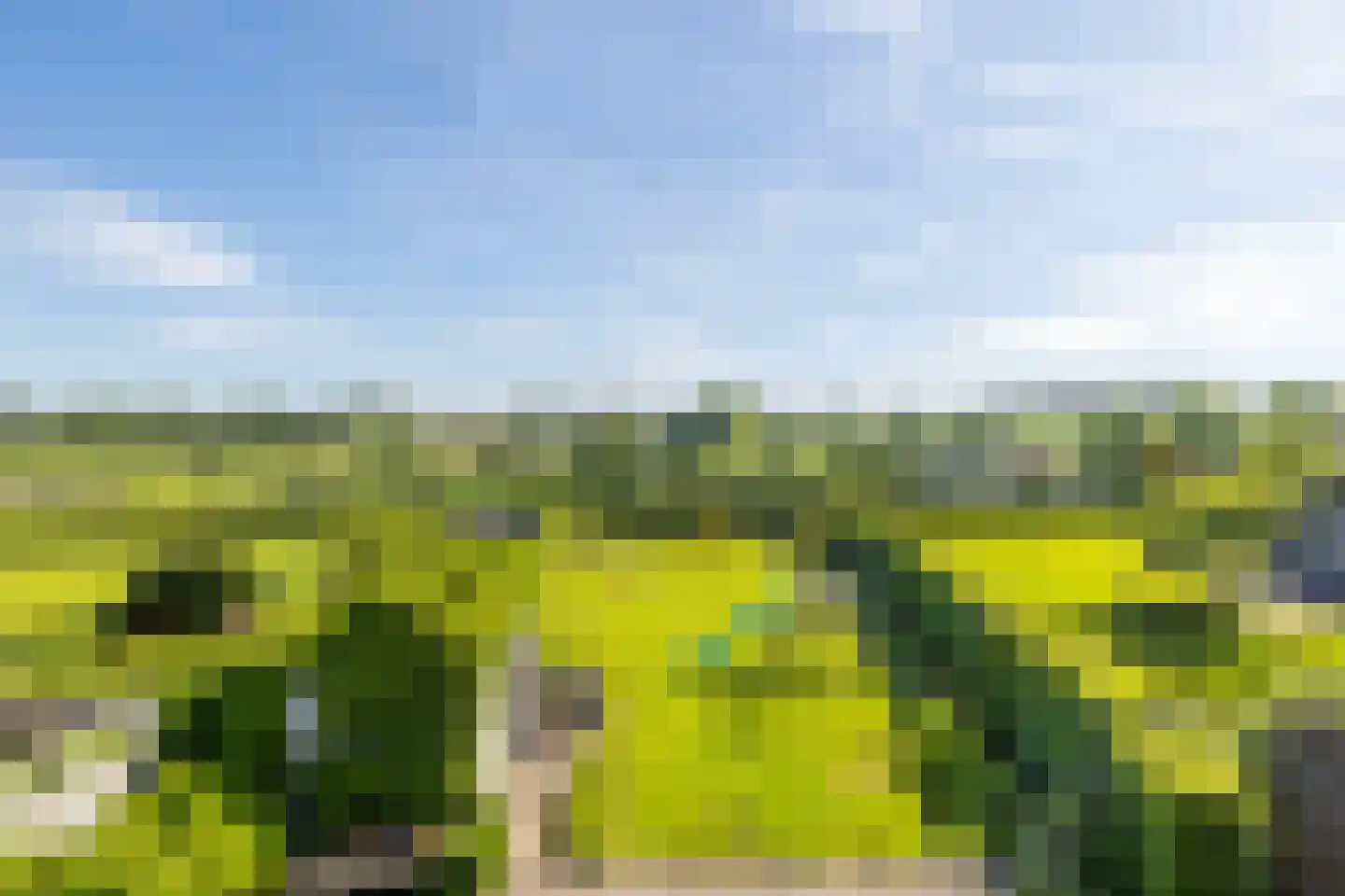 Melleschet 45 Vijlen thumbnail 21