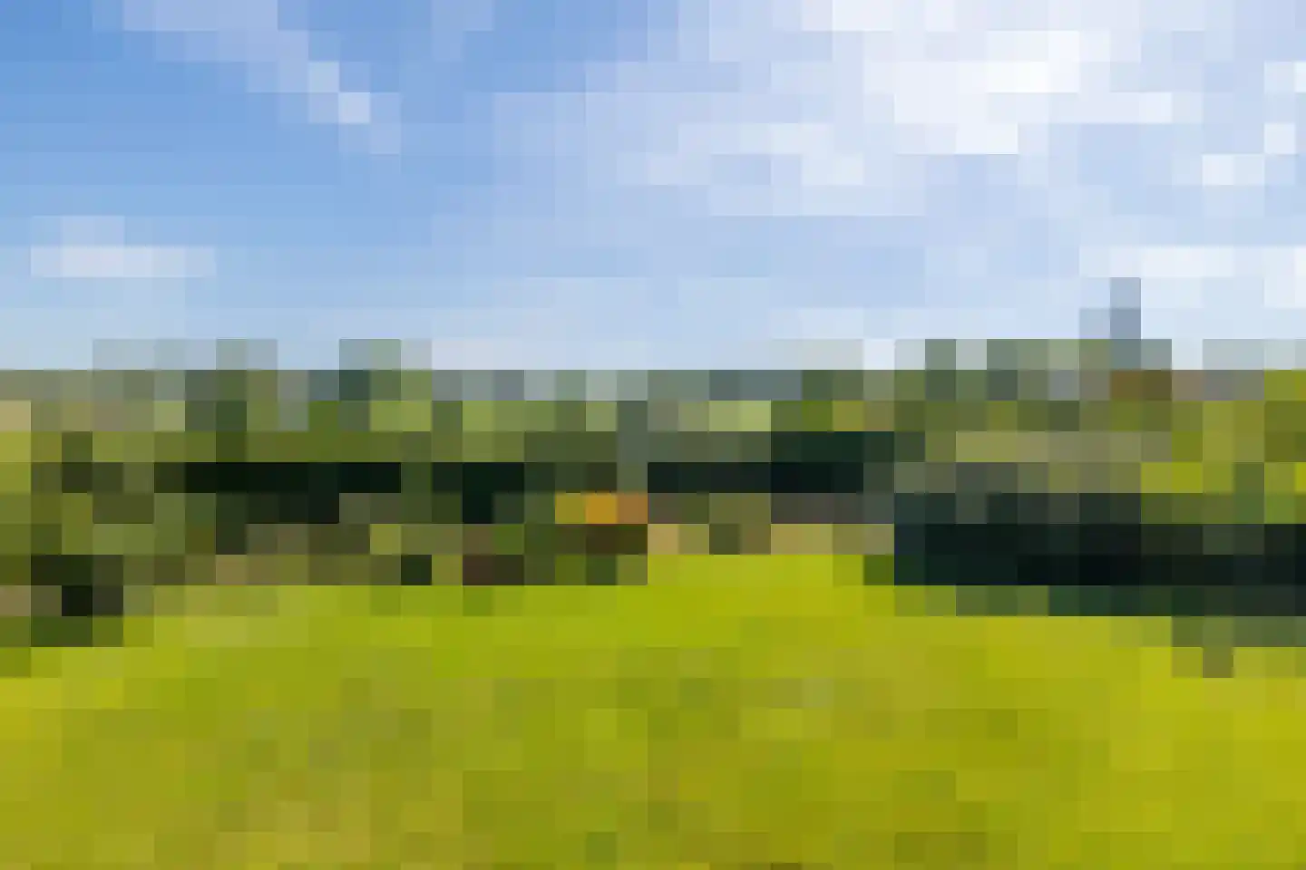 Melleschet 45 Vijlen thumbnail 22
