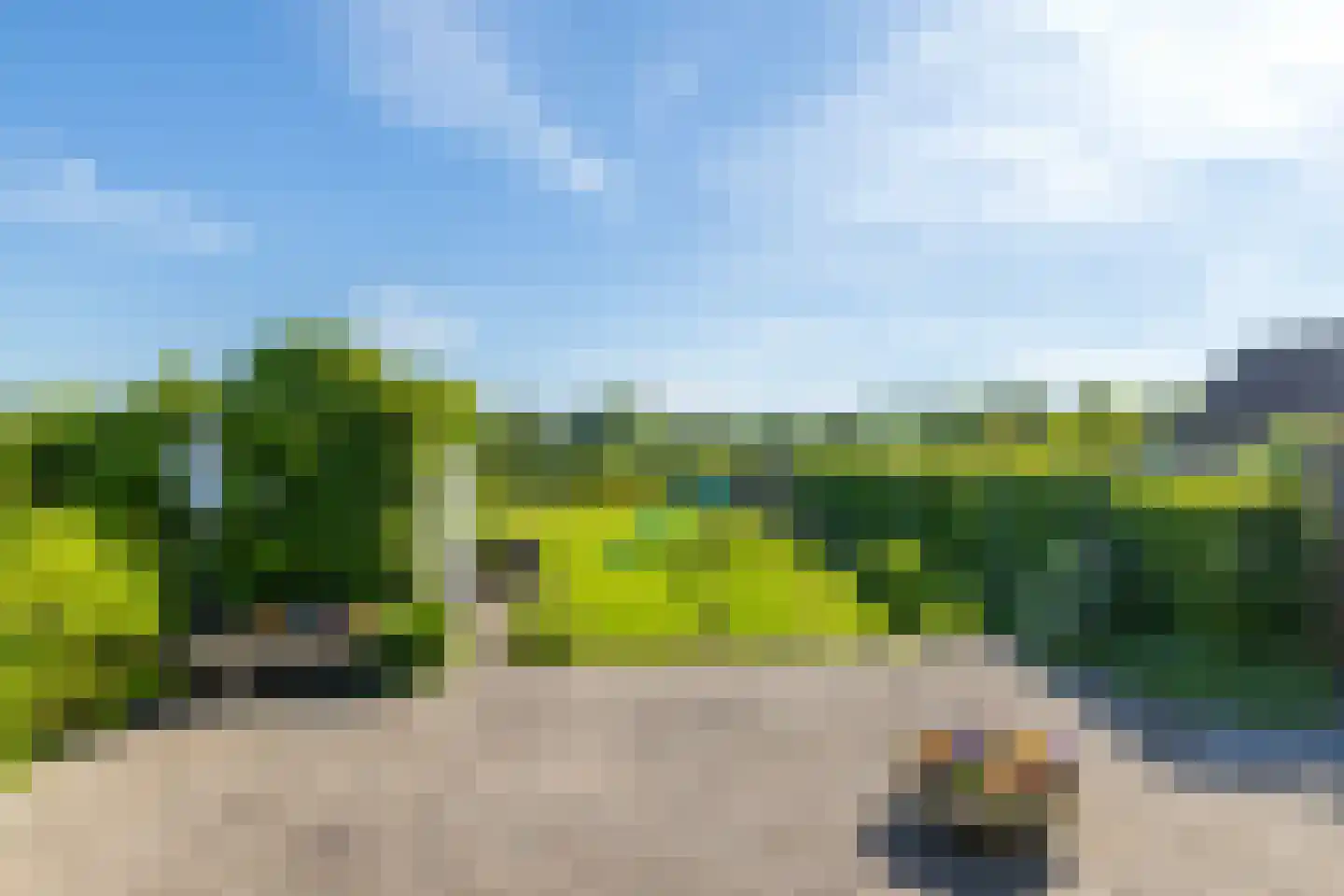 Melleschet 45 Vijlen thumbnail 23