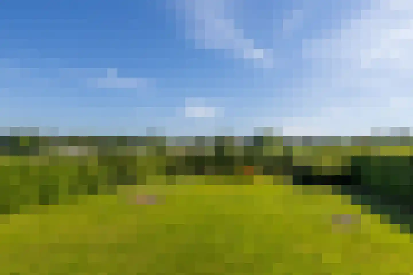 Melleschet 45 Vijlen thumbnail 24